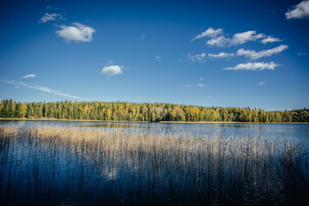Sleepwell Villa Hartola By The Lake Kirkkola Exterior photo